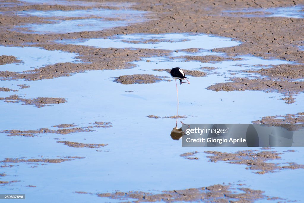 Saline Priolo