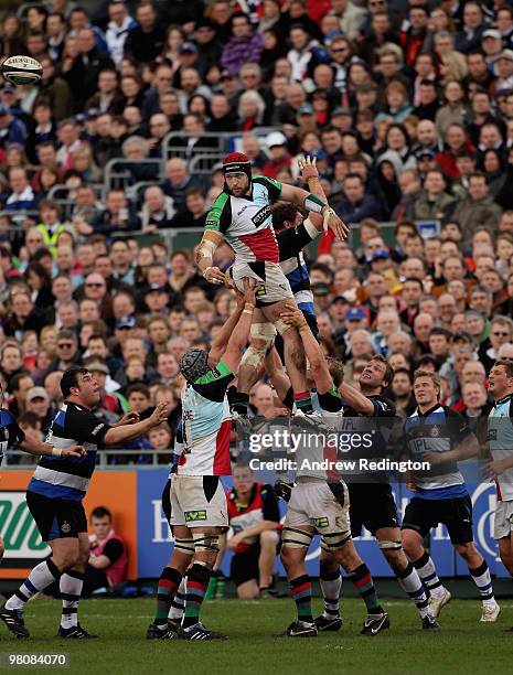 George Robson 304 George Robson Rugby Player Stock Photos, High-Res Pictures, and ...