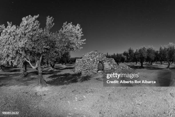 barraca de curolla a la luz de la luna llena - luna llena stockfoto's en -beelden