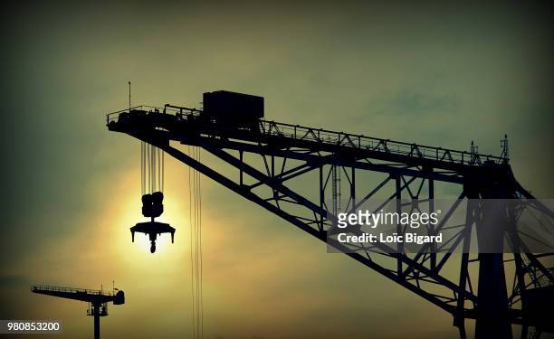 grue - grue stock pictures, royalty-free photos & images