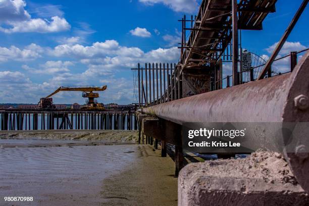 Rusty Lee Rusty Lee Photos and Premium High Res Pictures - Getty Images