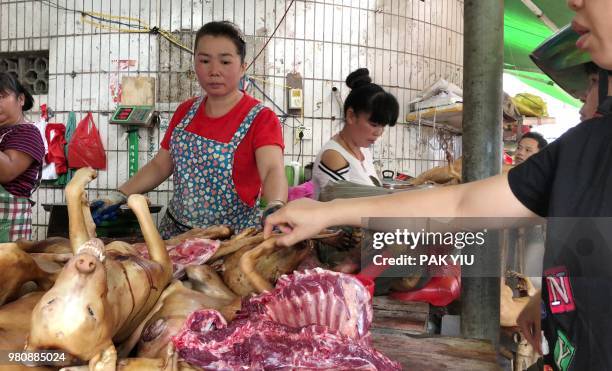 This photo taken on June 20, 2018 shows a customer selecting dog meat at the Dongkou market in Yulin in China's southern Guangxi region. - The annual...