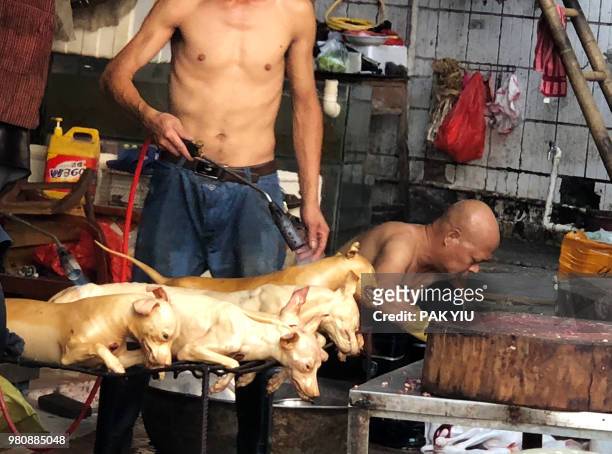 This photo taken on June 20, 2018 shows a vendor using a blow-torch to singe off the remaining hairs from dogs at the Dongkou market in Yulin in...