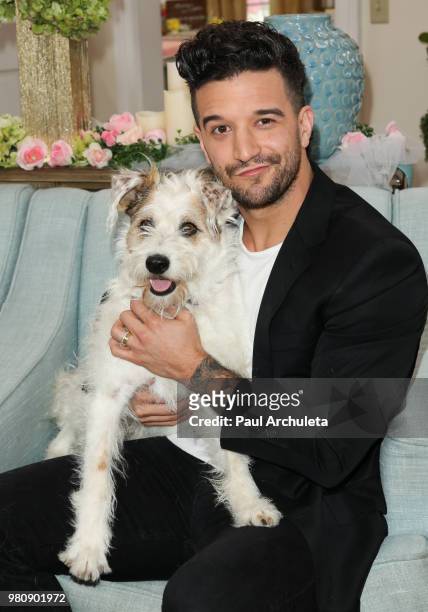Hallmark Channel ambassador 'Happy' the dog and DWTS pro Mark Ballas onÊthe set of Hallmark's Home & Family at Universal Studios Hollywood on June...