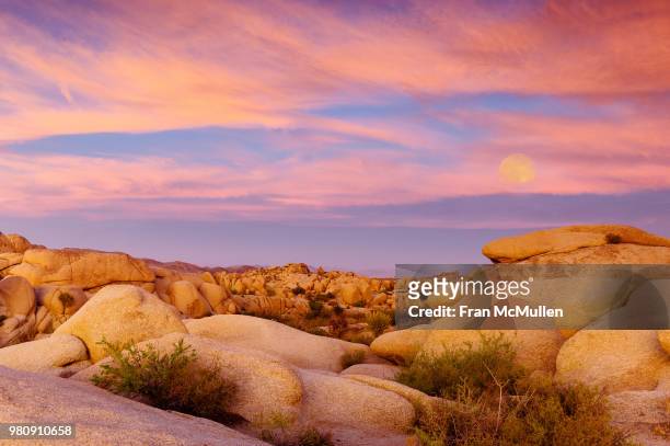 moon rising over rocky desert, joshua tree national park, yucca valley, california, usa - joshua tree stock pictures, royalty-free photos & images