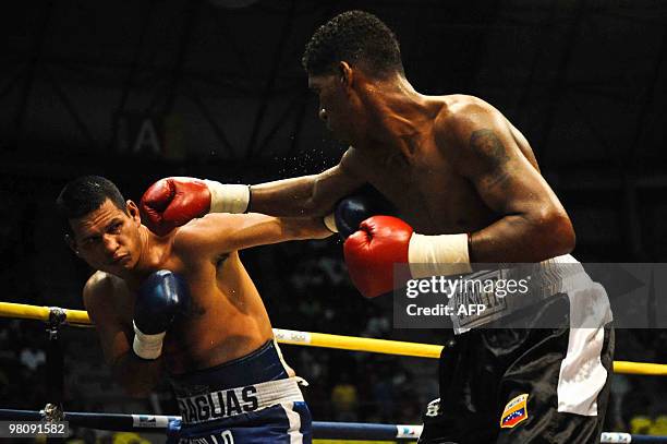 Gusmir Perdomo of Venezuela fights with Daniel Castillo of Panama during their boxing match in La Guaira, Venezuela on March 27, 2010. Perdomo beat...