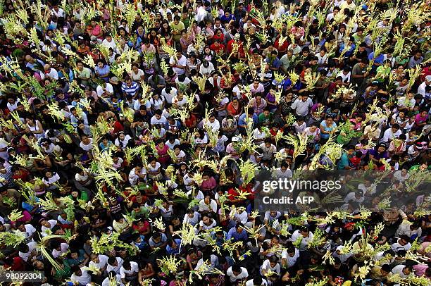 Sea of Filipino Roman Catholics wave palm leaves at a church in Bulacan, north of Manila on March 28, 2010. The Palm Sunday marks the start of the...