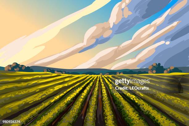 beautiful autumn landscape - farm landscape stock illustrations
