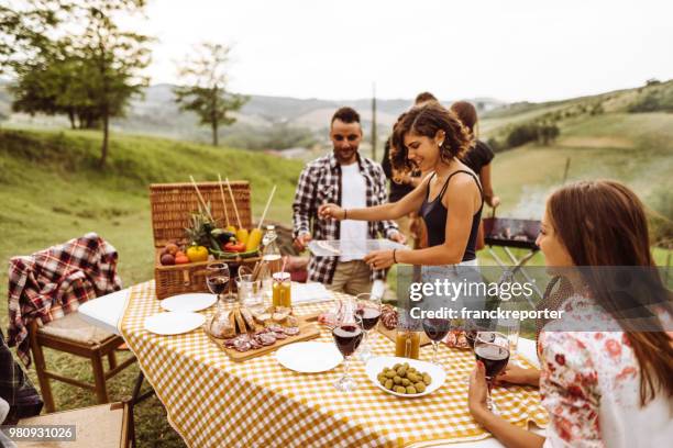 mensen happines doen een bbq in het platteland - summer picnic stockfoto's en -beelden