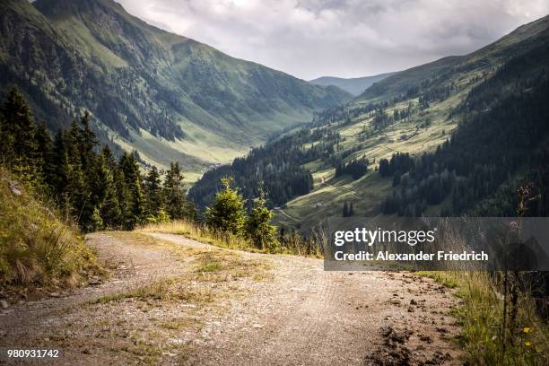 forested valley under cloudy sky, brixental, tirol, austria - forest road stock-fotos und bilder