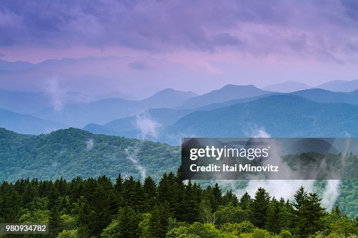 Blue Ridge Forrest Forest And Silhouette Of Blue Ridge Mountains At Sunset Usa High-Res ...
