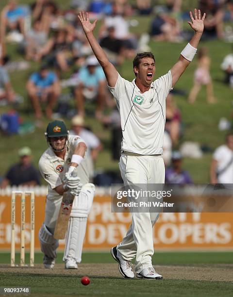 Brent Arnel of New Zealand makes an LBW appeal against Shane Watson of Australia during day two of the Second Test Match between New Zealand and...