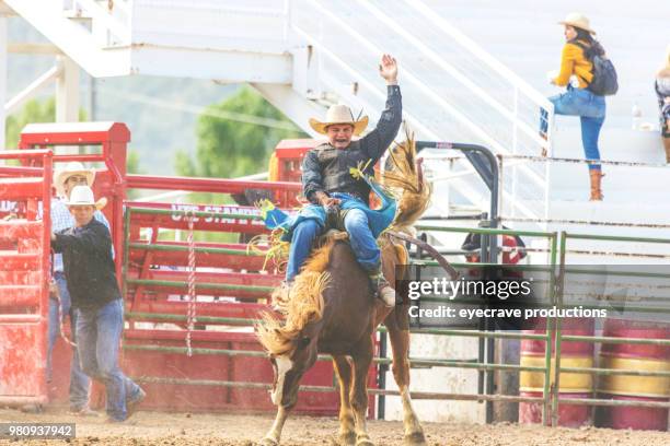 utah cowboy saddle bronc bareback riding western outdoors and rodeo stampede roundup riding horses herding livestock - horse saddle stock pictures, royalty-free photos & images