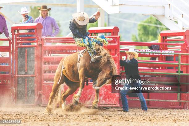 utah vaquero saddle bronc bareback del montar a caballo occidental al aire libre y rodeo estampida rodeo montar a caballo, arreo de ganado - estampida fotografías e imágenes de stock