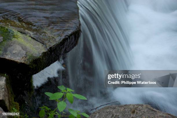 chute d'eau 4 - chute d'eau stock pictures, royalty-free photos & images