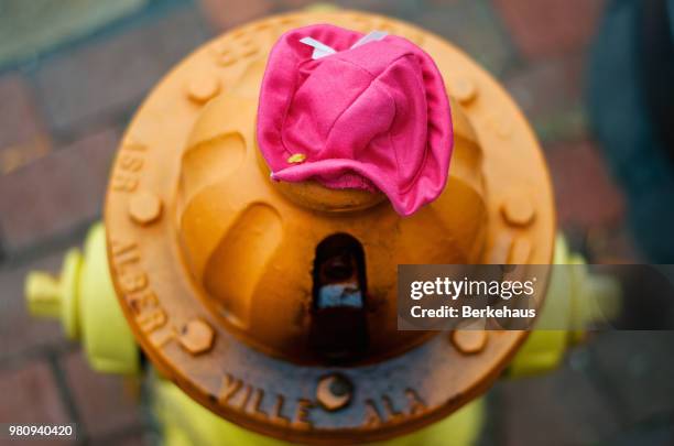 Fireplug Tool 96 Fireplug Stock Photos, High-Res Pictures, and Images - Getty Images
