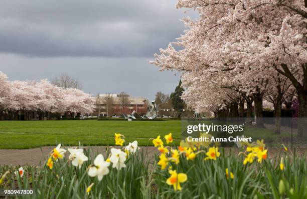 Spring Free State 651 Fields Spring State Park Stock Photos, High-Res Pictures, and ...