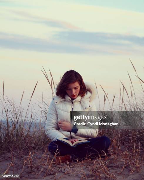 sunset reading on a winter beach - chincoteague island stock pictures, royalty-free photos & images