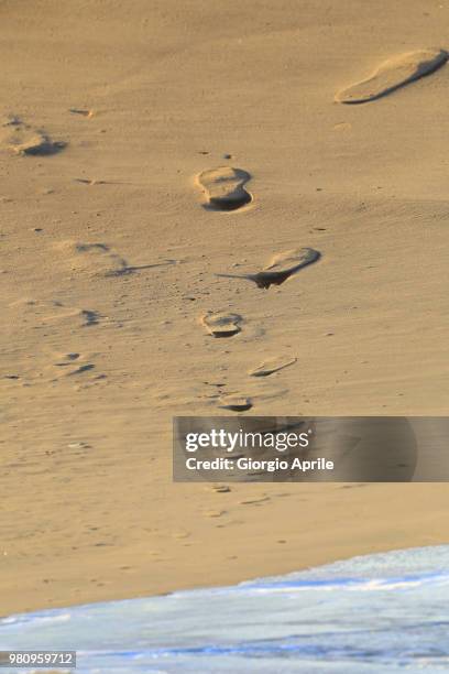 passeggiando sulla spiaggia - walking on the beach - spiaggia stock pictures, royalty-free photos & images