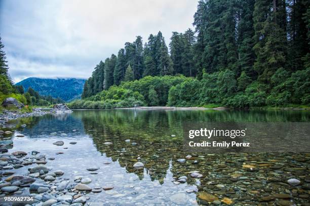 smith river, jedediah smith redwoods state park, california, usa - jedediah smith redwoods state park stock pictures, royalty-free photos & images