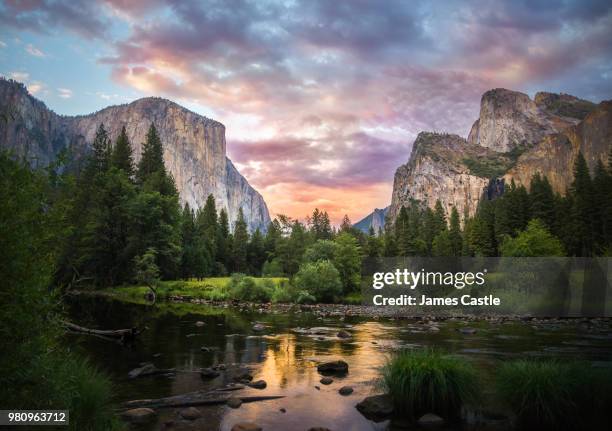 a river at yosemite national park, california. - el capitan yosemite national park stockfoto's en -beelden