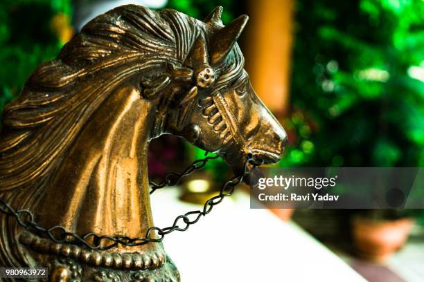 horse - ravi yadav stock pictures, royalty-free photos & images
