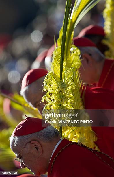 Cardinals attend Pope Benedict XVI's Palm Sunday mass on March 28, 2010 on Saint-Peter's Square at the Vatican. The pope voiced "deep sadness" over...