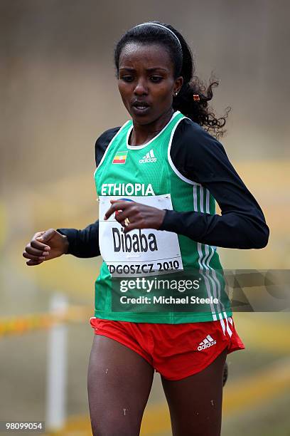 Dibaba Runner Dibaba Photos and Premium High Res Pictures - Getty Images