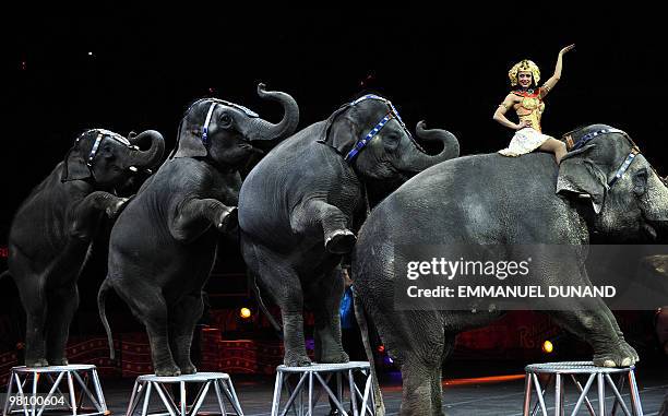 Ringling Bros. And Barnum & Bailey circus elephants perform during Barnum's FUNundrum in New York on March 26, 2010. Barnum's FUNdrum, the latest...