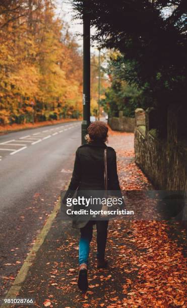 man walking on road during autumn - bortes fotografías e imágenes de stock