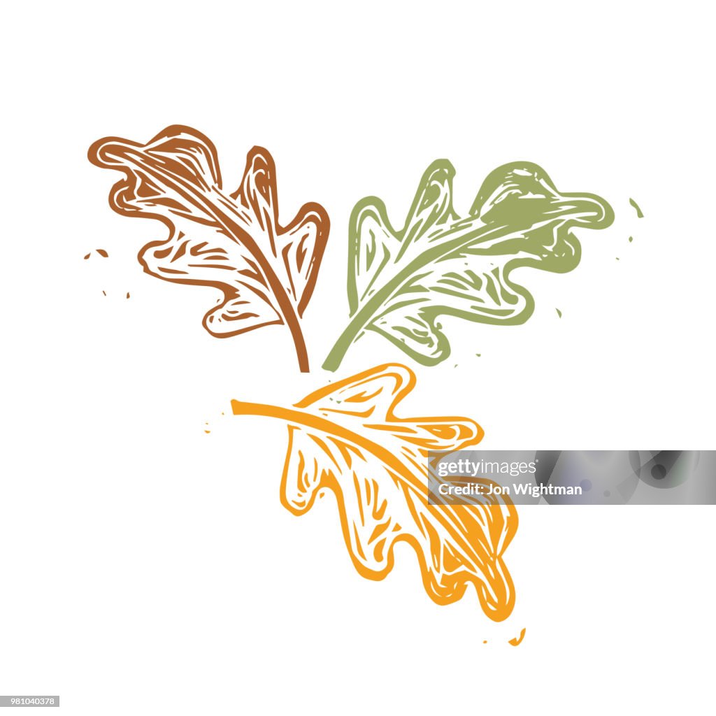 Fall Linocut Leaf High-Res Vector Graphic - Getty Images