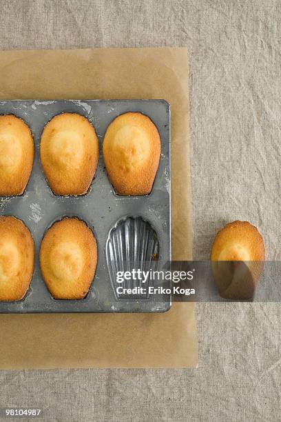 six madeleines in tin and one put beside  - madeleine sponge cake stock pictures, royalty-free photos & images