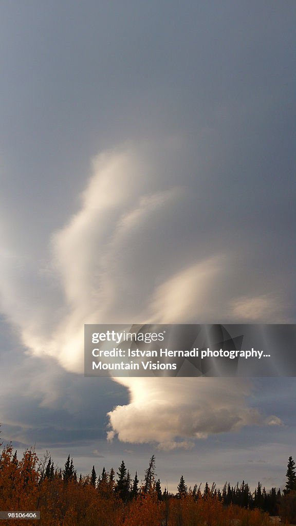 Lenticular cloud over Kluane Park
