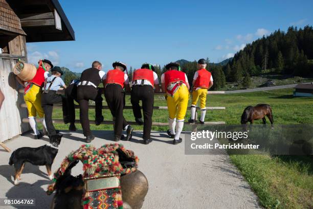 alpaufzug schwaegalp - chess horse fotografías e imágenes de stock