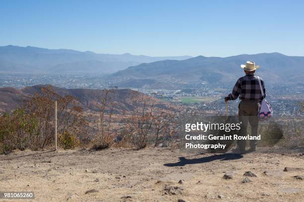 enjoying the view, monte albán in oaxaca - geraint rowland fotografías e imágenes de stock