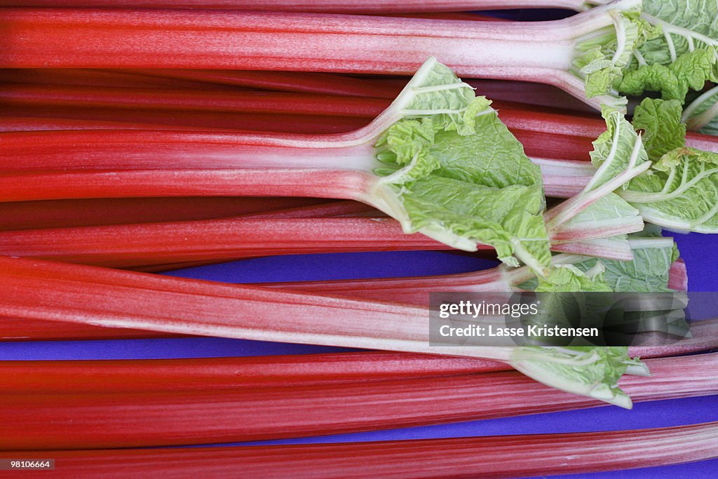 Rhubarb