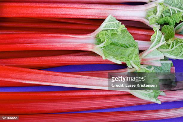 rhubarb - ルバーブ ストックフォトと画像