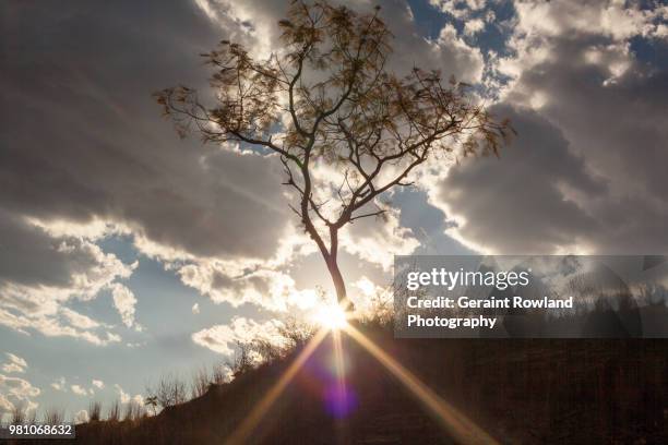 nature'd flare, on top of the hill, oaxaca - geraint rowland stock pictures, royalty-free photos & images