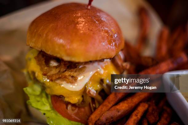 cheeseburger and sweet potato fries closeup - jeremy hogan foto e immagini stock