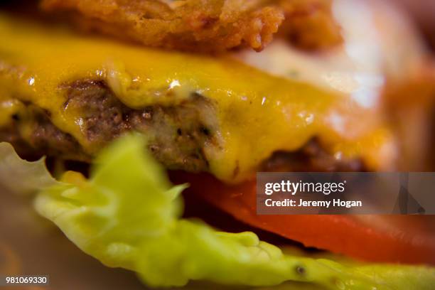 cheeseburger closeup - jeremy hogan foto e immagini stock