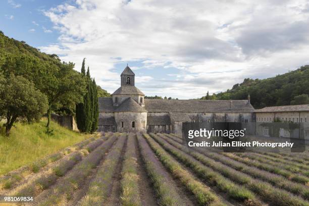 lavender fields at abbaye de senanque in provence, france. - abbaye stock-fotos und bilder