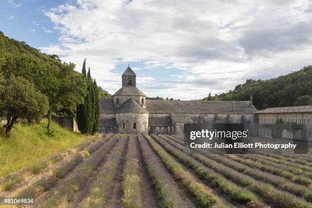 lavender fields at abbaye de senanque in provence, france. - bâtiment public photos et images de collection