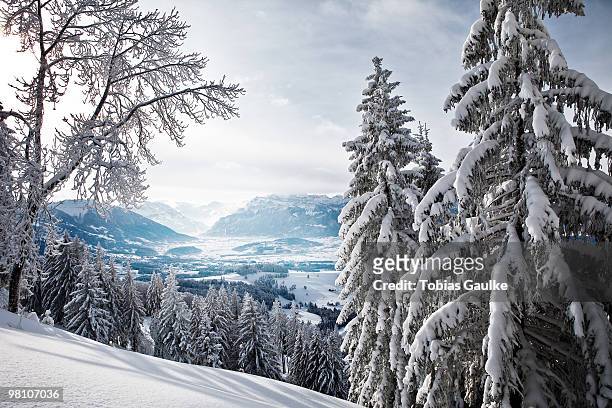 swiss winter landscape  - tobias gaulke stock-fotos und bilder