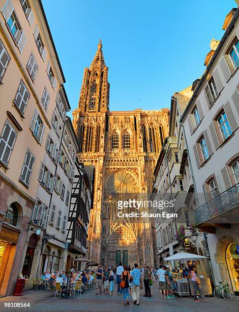 france, alsace, strasbourg, notra dame cathedral - straßburg stock-fotos und bilder