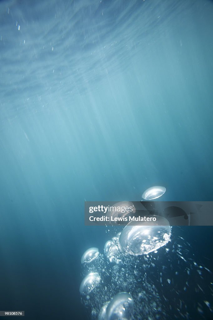 Underwater, oxygen bubbles rising to ocean surface