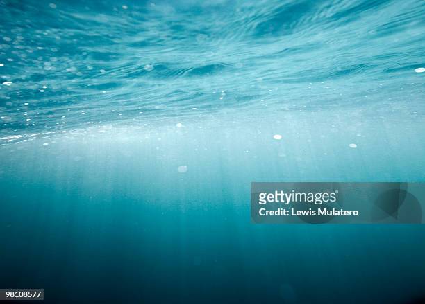 ray of sunlight penetrating under ocean's surface - unterwasseraufnahme stock-fotos und bilder