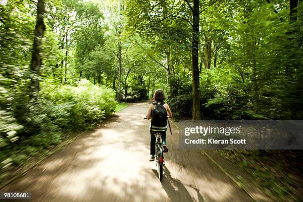 the tiergarten, woman on bicycle - the tiergarten stock pictures, royalty-free photos & images