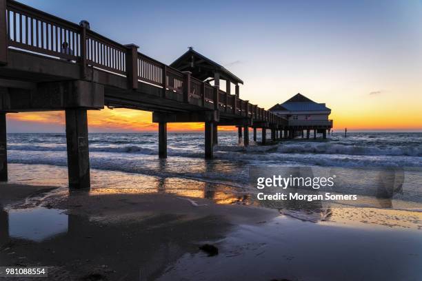 pier 60 : clearwater beach. clearwater, fl - clearwater stock pictures, royalty-free photos & images