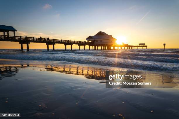 pier 60 : clearwater beach. clearwater, fl - florida coastline stock pictures, royalty-free photos & images