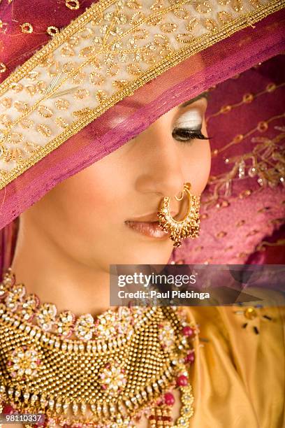 indian bride - paul piebinga stock pictures, royalty-free photos & images